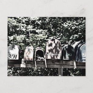 Mailboxes on the Vineyard Postcard