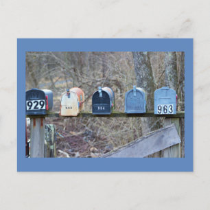 Mailboxes Photo Postcard