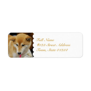 MailingLabel-5 - Customised Return Address Label
