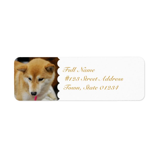 MailingLabel-5 - Customised Return Address Label (Front)