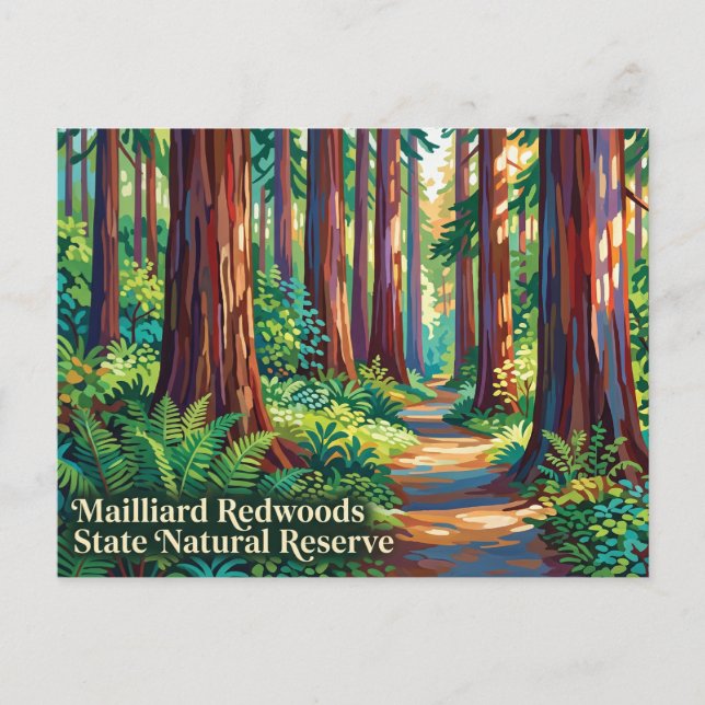 Mailliard Redwoods State Natural Reserve Postcard (Front)