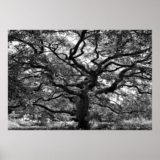 Main Artery Poster (Front)