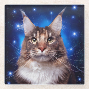 Main Coon Cat Blue Background Stars Glass Coaster