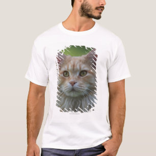 Main coon cat T-Shirt