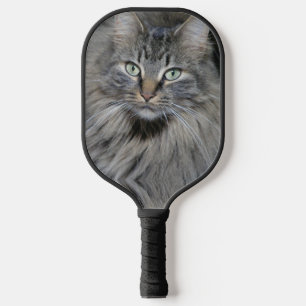 Main Coon Cats Eyes Pickleball Paddle