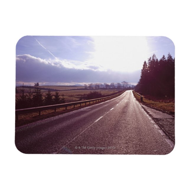 Main road with low winter sun. magnet (Horizontal)