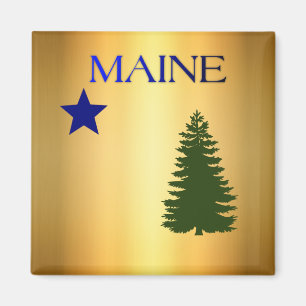 Maine (1901) flag magnet