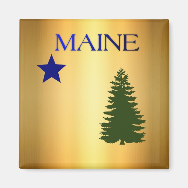 Maine (1901) flag magnet (Front)