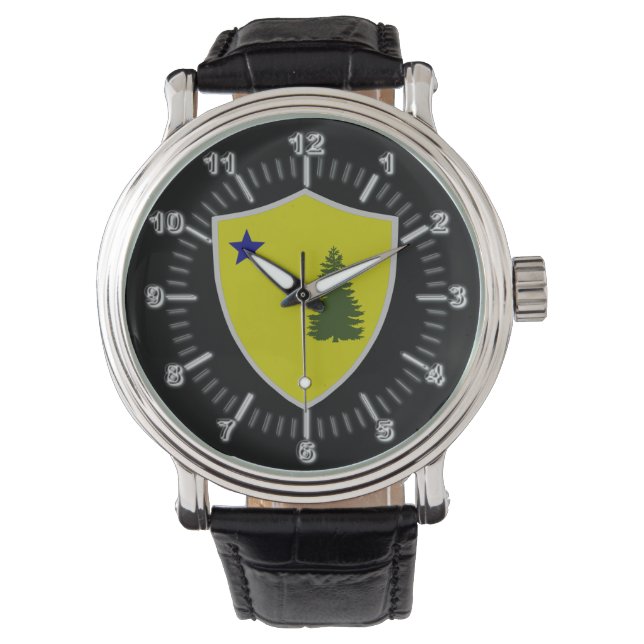 Maine (1901) flag watch (Front)