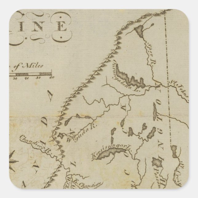 Maine 9 square sticker (Front)