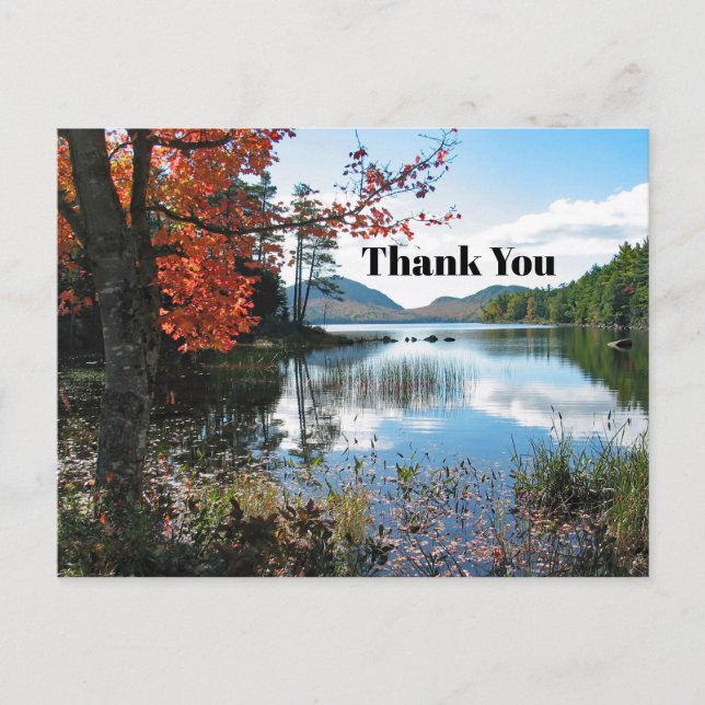 Maine Acadia Lake Landscape Photo Thank You Postcard (Front)
