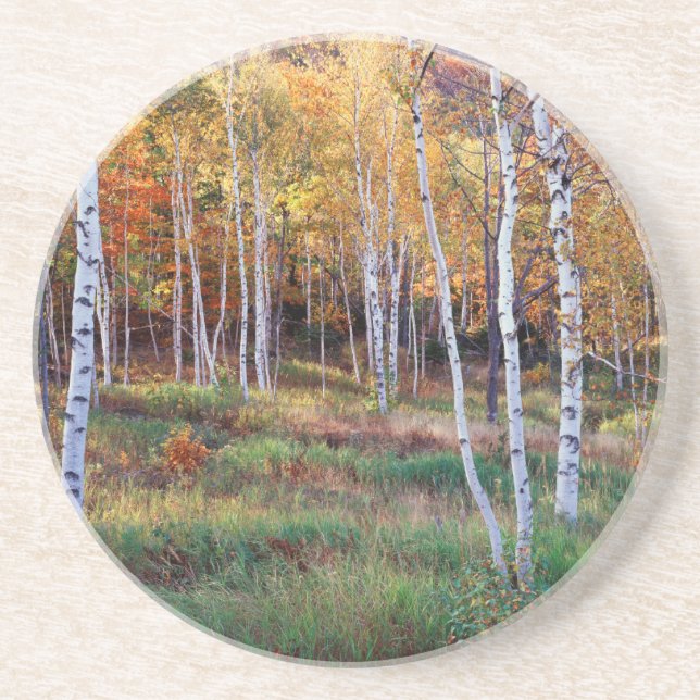Maine, Acadia National Park, Autumn Coaster (Front)