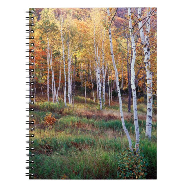 Maine, Acadia National Park, Autumn Notebook (Front)