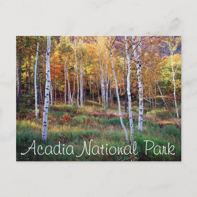 Maine, Acadia National Park, Autumn Postcard (Front)