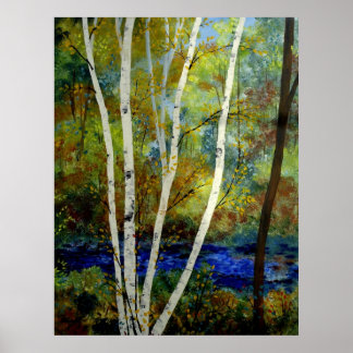 Maine Birch Stream Poster