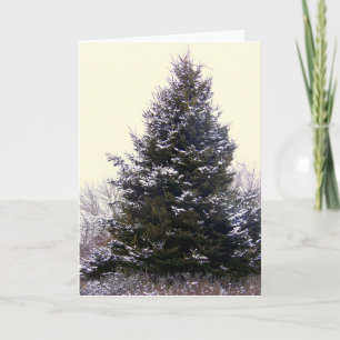 "Maine" blank greeting card