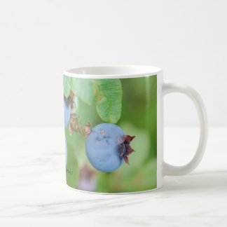 Maine Blueberry Mug