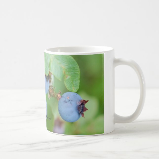 Maine Blueberry Mug (Right)