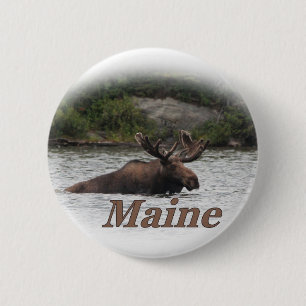 Maine Bull Moose 6 Cm Round Badge