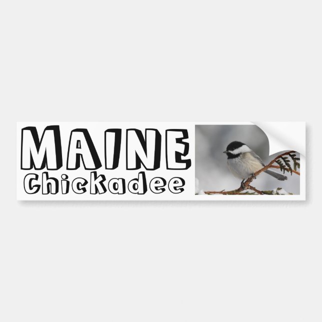 Maine Chickadee Bumper Sticker (Front)