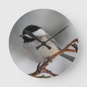 Maine Chickadee Round Clock