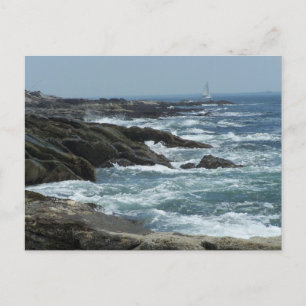 Maine Coast Postcard