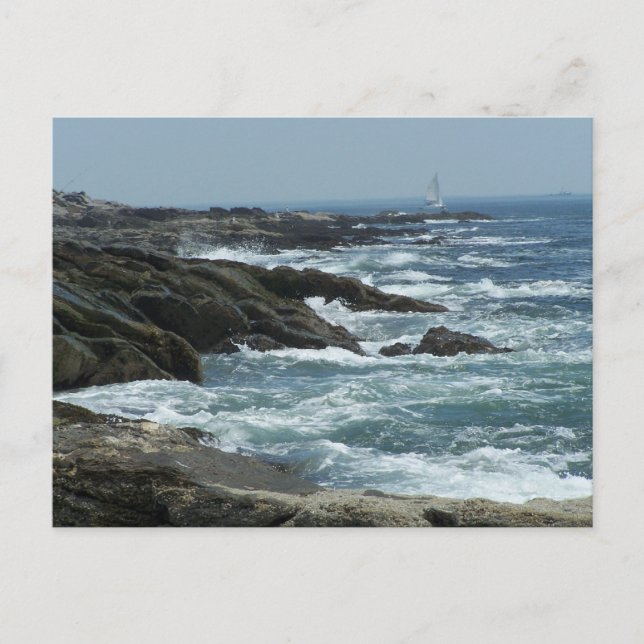 Maine Coast Postcard (Front)