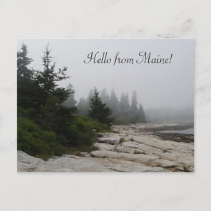 Maine Coast Shoreline Postcard