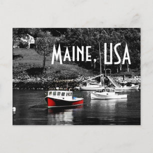 Maine Colour On Black Boat Postcard