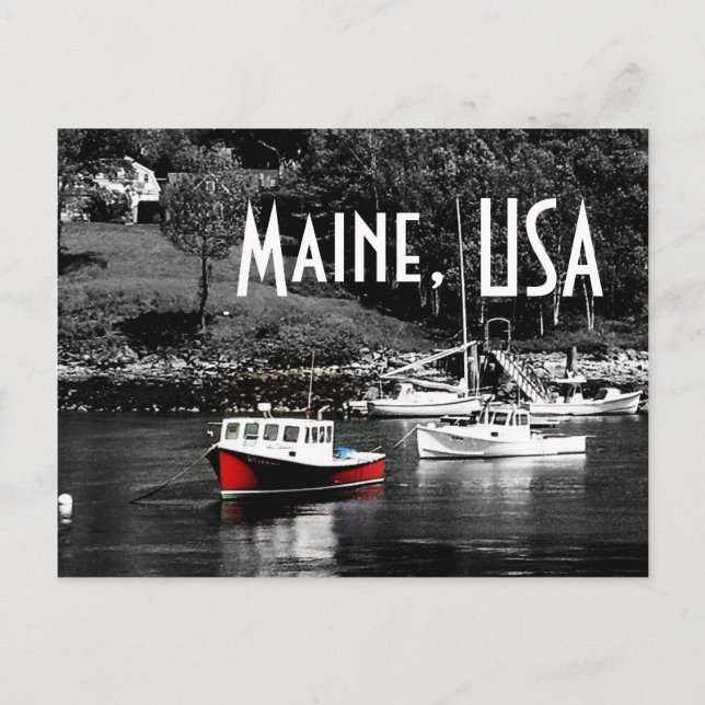 Maine Colour On Black Boat Postcard (Front)