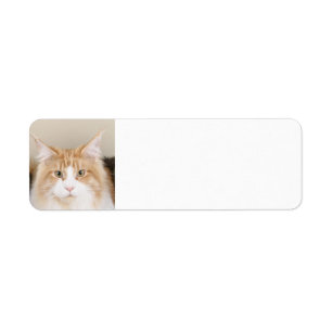 maine coon 3 return address label