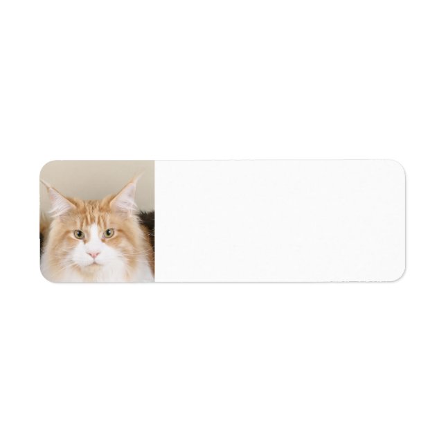 maine coon 3 return address label (Front)