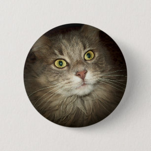 Maine Coon 6 Cm Round Badge