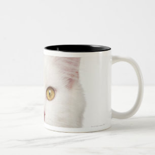 Maine Coon (8 months old) 2 Two-Tone Coffee Mug