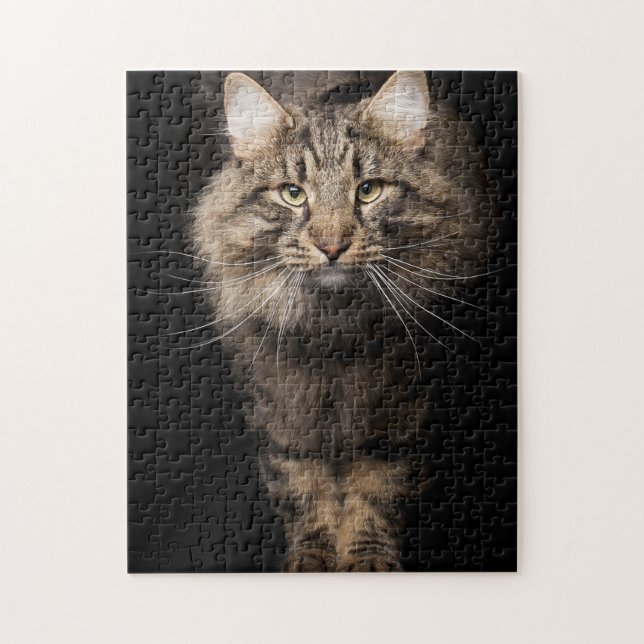 Maine Coon big cat  Jigsaw Puzzle (Vertical)