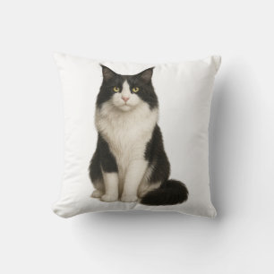 Maine Coon black and white Pillow