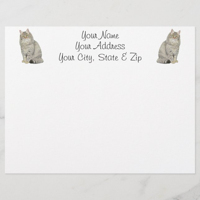 Maine Coon Cat (Front)