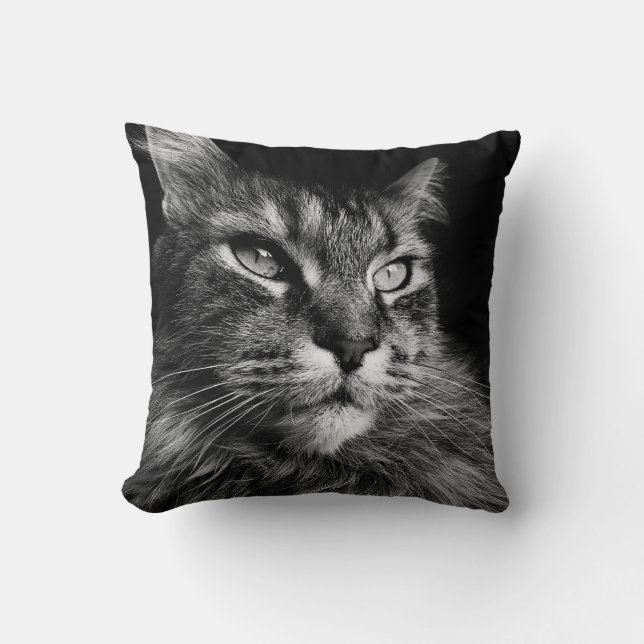 Maine Coon Cat 16 x 16 Cushion (Front)