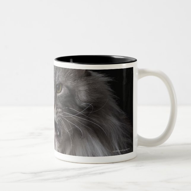 Maine Coon cat 2 Two-Tone Coffee Mug (Right)