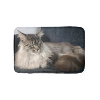 Maine Coon Cat