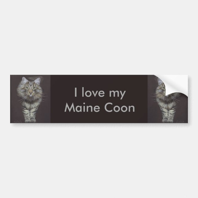 Maine Coon Cat Bumper Sticker (Front)
