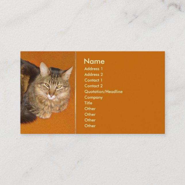 Maine Coon Cat Business Card (Front)