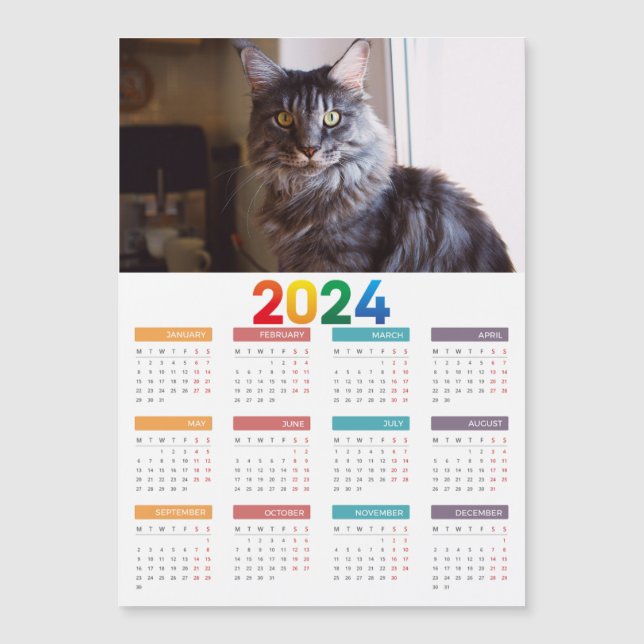 Maine Coon Cat Calendar (Front)