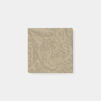 Maine Coon Cat cats 3 by 3 Post-it Notes