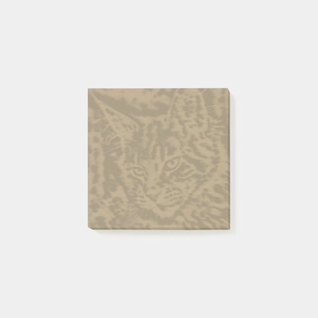 Maine Coon Cat cats 3 by 3 Post-it Notes (Front)