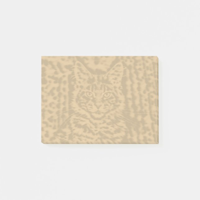 Maine Coon Cat cats 4 by 3 Post-it Notes (Front)