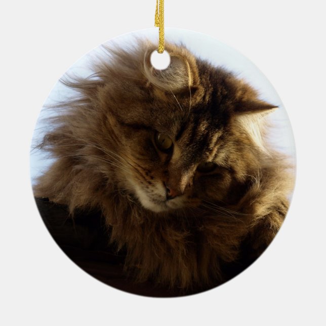 Maine Coon Cat Ceramic Tree Decoration (Back)