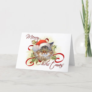 Maine Coon Cat Christmas Card