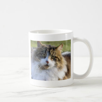 Maine Coon Cat Coffee Mug
