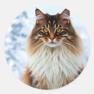 Maine Coon Cat in a Snowy Wilderness Portrait Classic Round Sticker